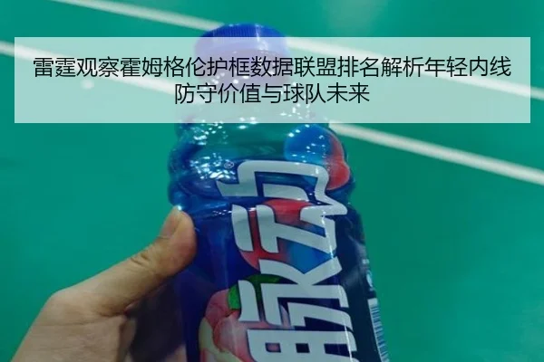 雷霆观察霍姆格伦护框数据联盟排名解析年轻内线防守价值与球队未来